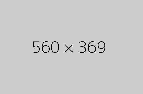 560x369x1