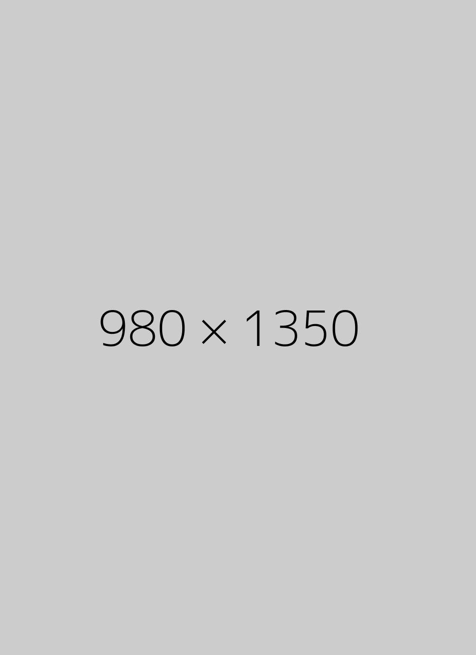 980x1350x2
